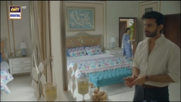 Aapa Shameem - Episode 11 - 17th December 2024